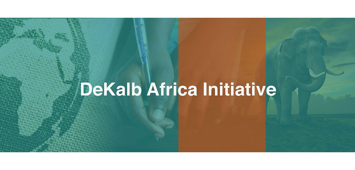 dekalb-african-initiative.png